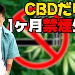 【ドッキリ】ヘビースモーカーの画家をCBDで禁煙させてみたww