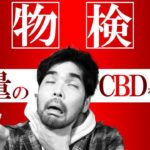 【ガチ検証】大量のCBDを吸って薬物検査をしてみたら..