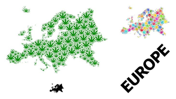EU：麻のTHC含有率の上限が0.3％に引き上げられ方向へ
