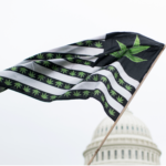 アメリカ2020年の大麻合法化投票について