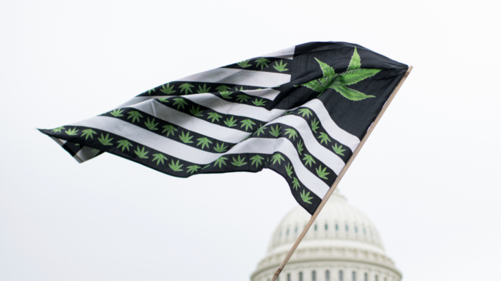 アメリカ2020年の大麻合法化投票について